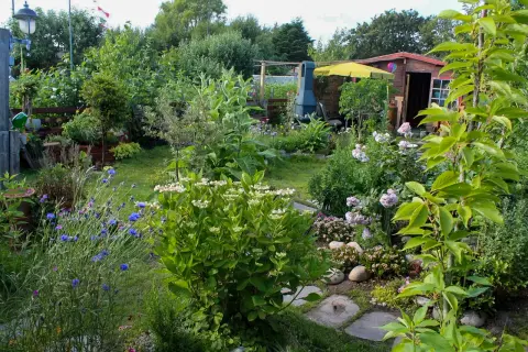 Ergebnis: dicht und naturnah bepflanzter Gartenraum mit Stauden, Gräsern und Findlingen